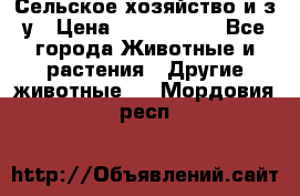 Сельское хозяйство и з/у › Цена ­ 2 500 000 - Все города Животные и растения » Другие животные   . Мордовия респ.